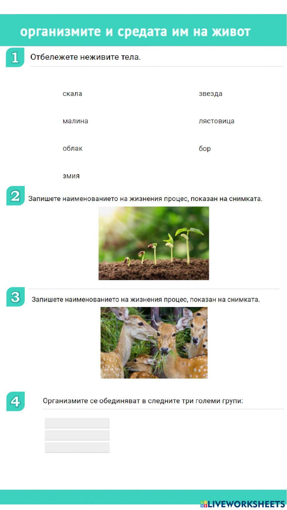 Среда на живот Среда на живот