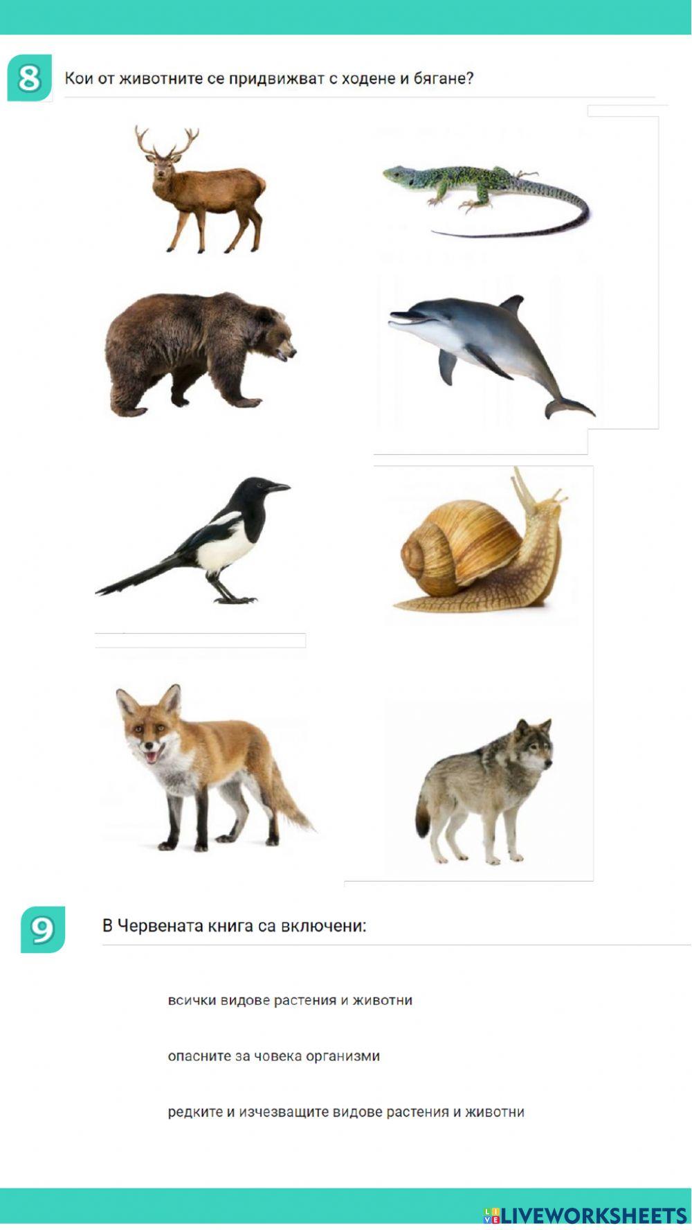 Среда на живот Среда на живот