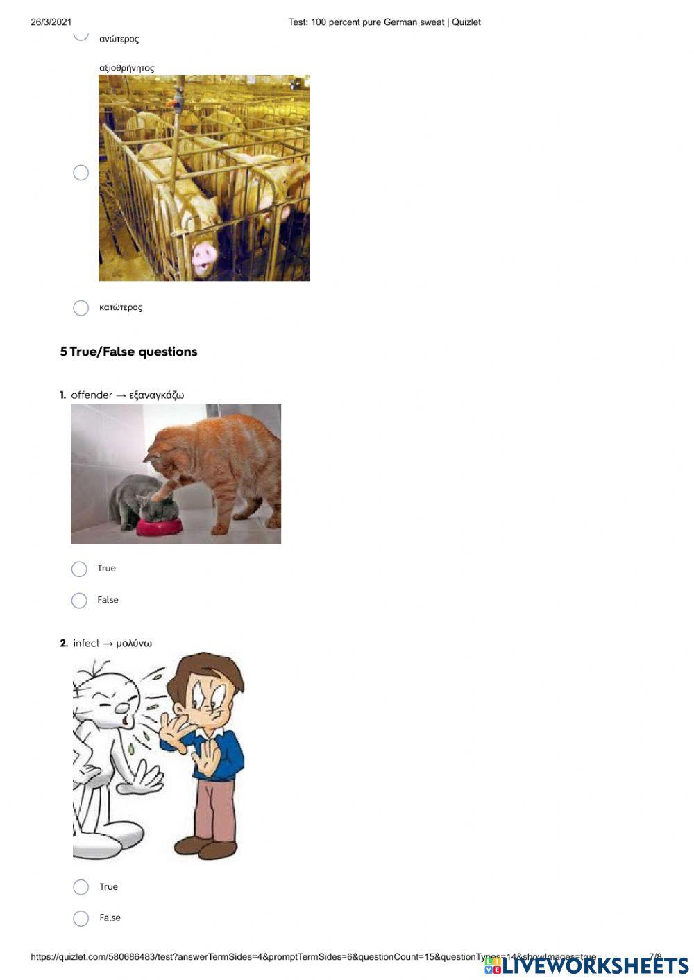 100 Percent Pure German Sweat (p. 126) Vocabulary Quiz with Quizlet