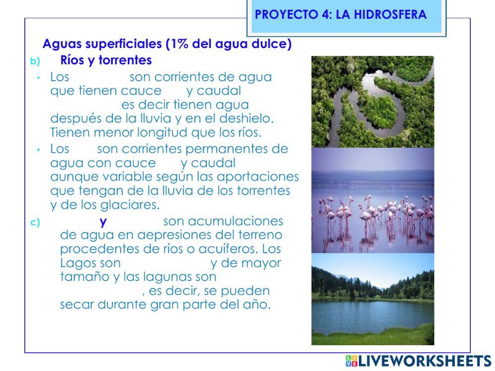 Distribución del agua