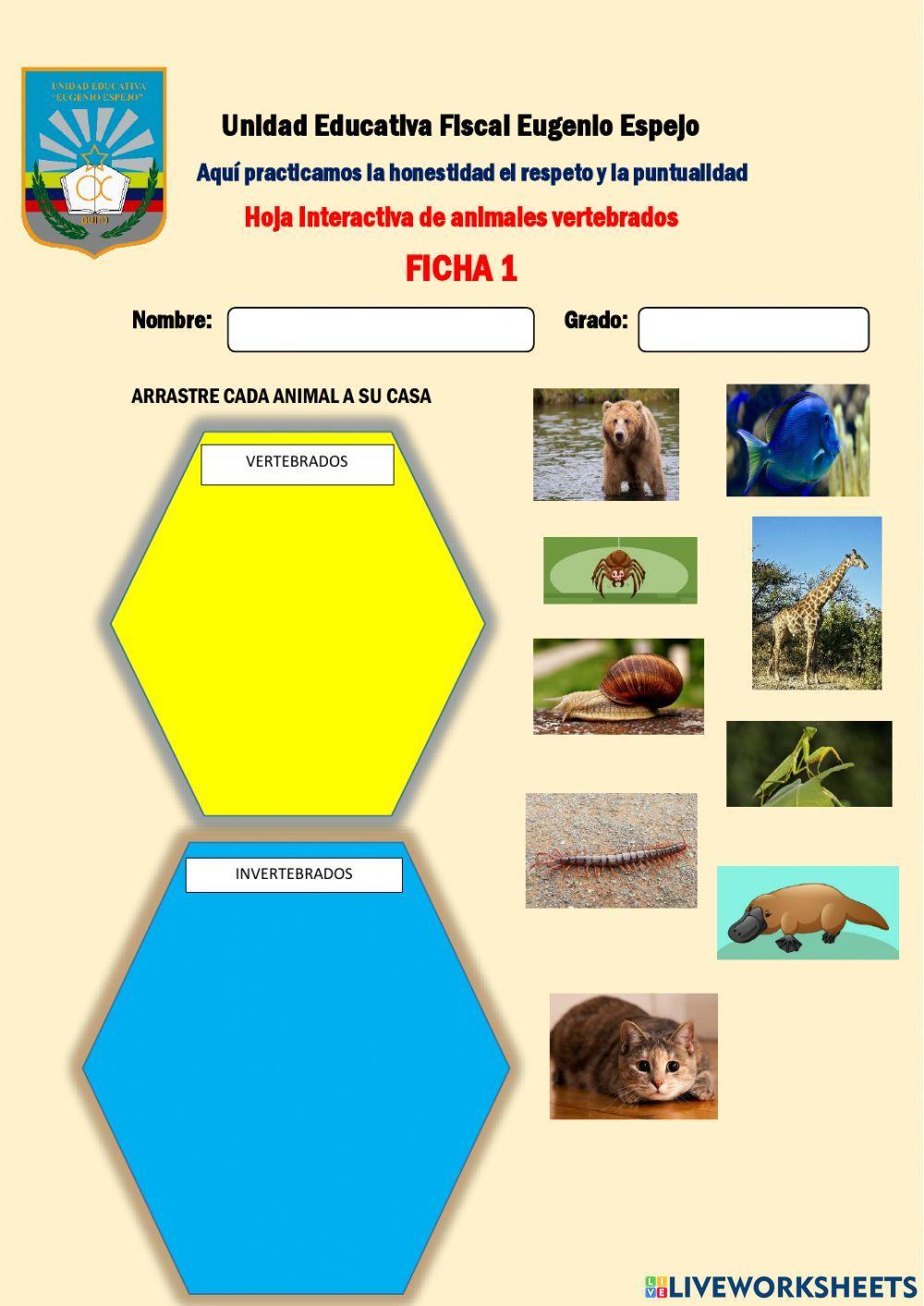Animales Vertebrados