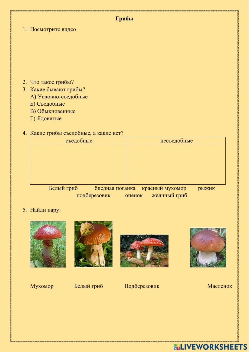 Грибы