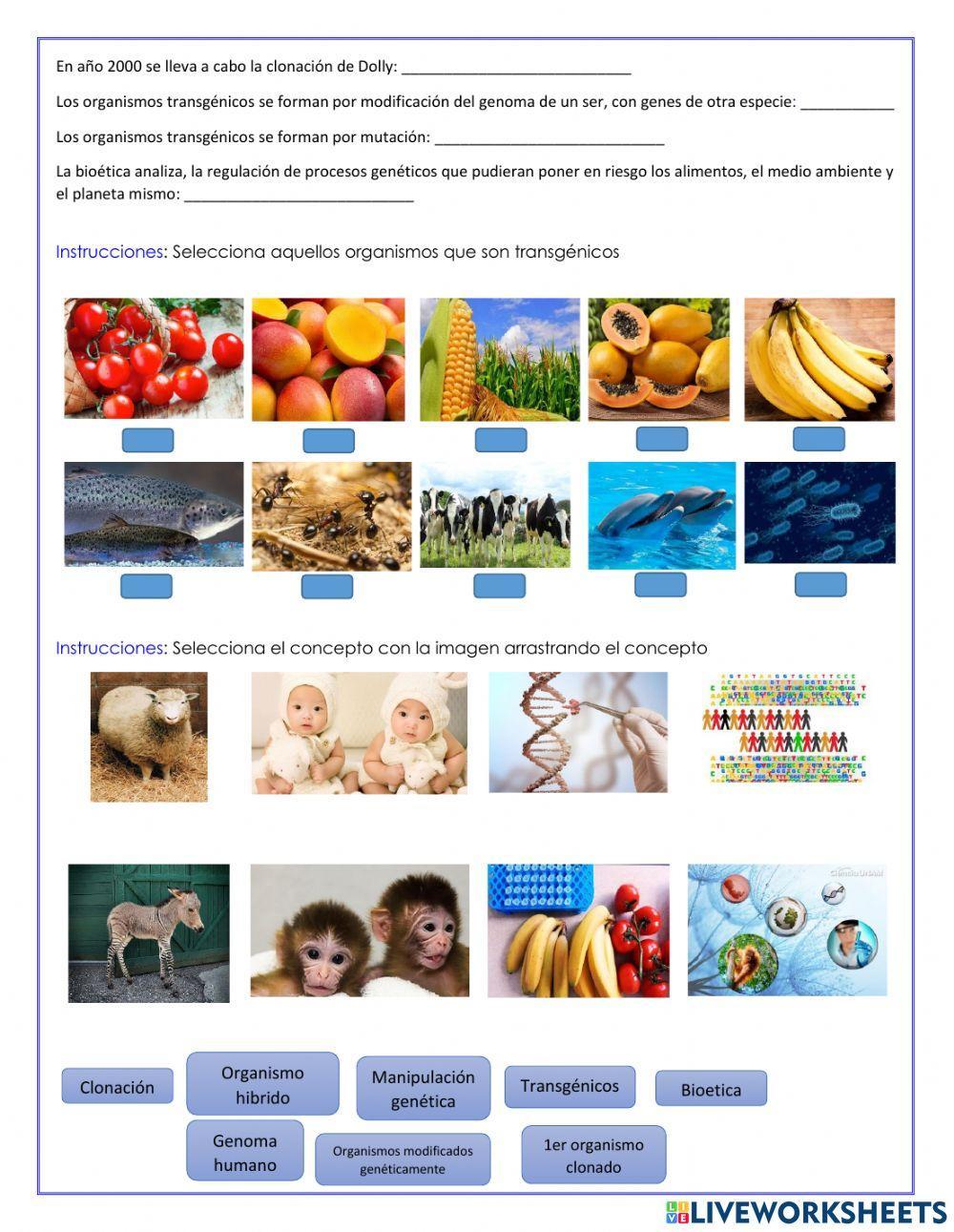 Ingeniería Genetica