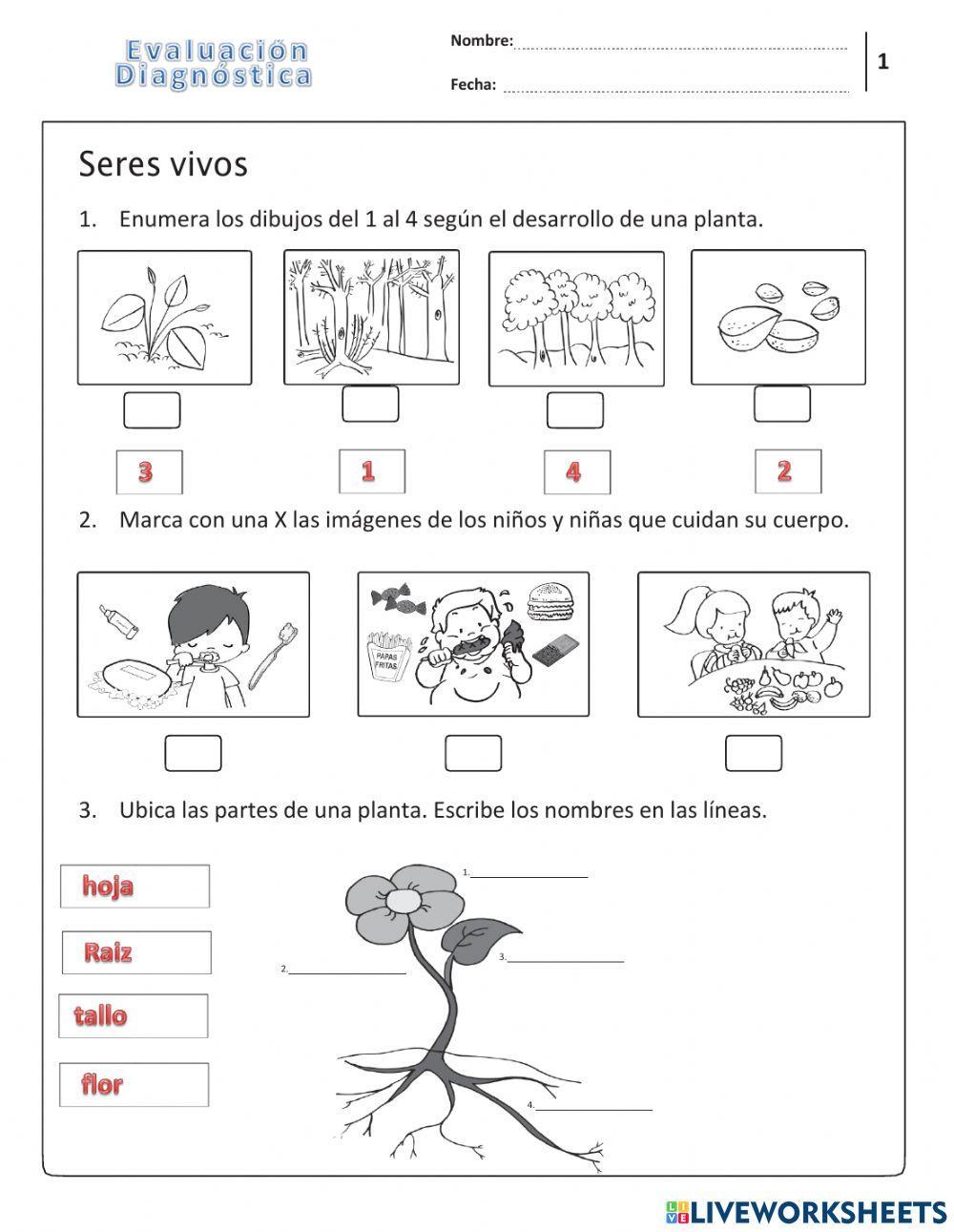 Diagnostico ciencias