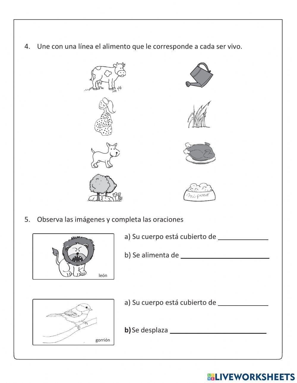 Diagnostico ciencias