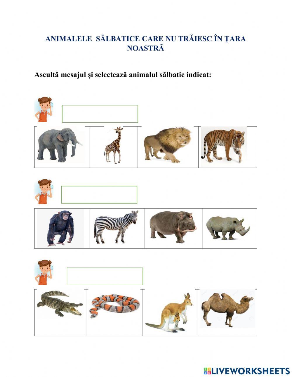 Evaluarea limbajului receptiv- Animale sălbatice care nu trăiesc la noi în țară