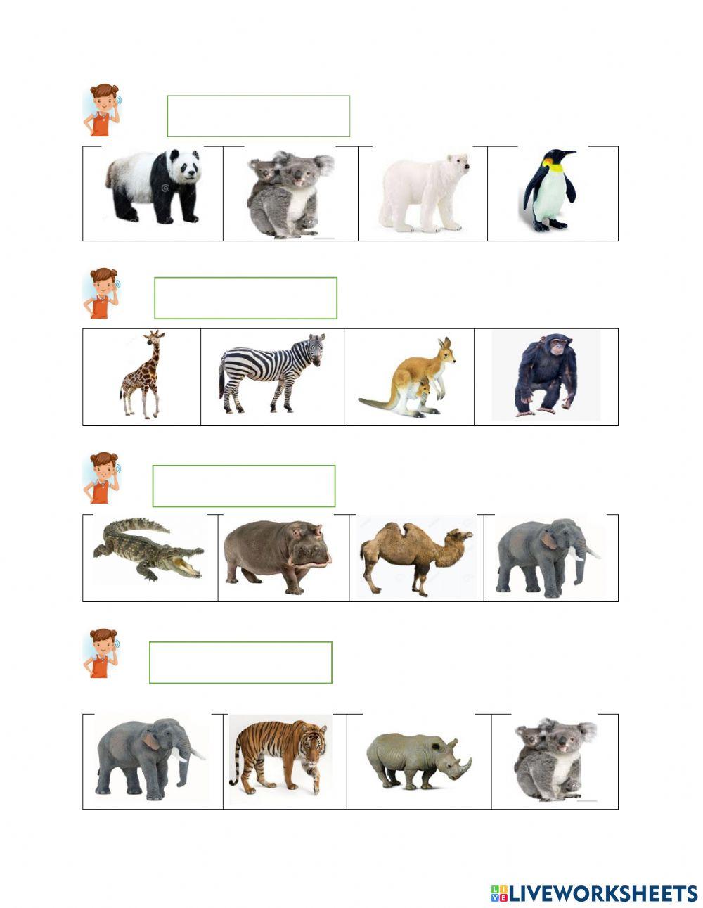 Evaluarea limbajului receptiv- Animale sălbatice care nu trăiesc la noi în țară