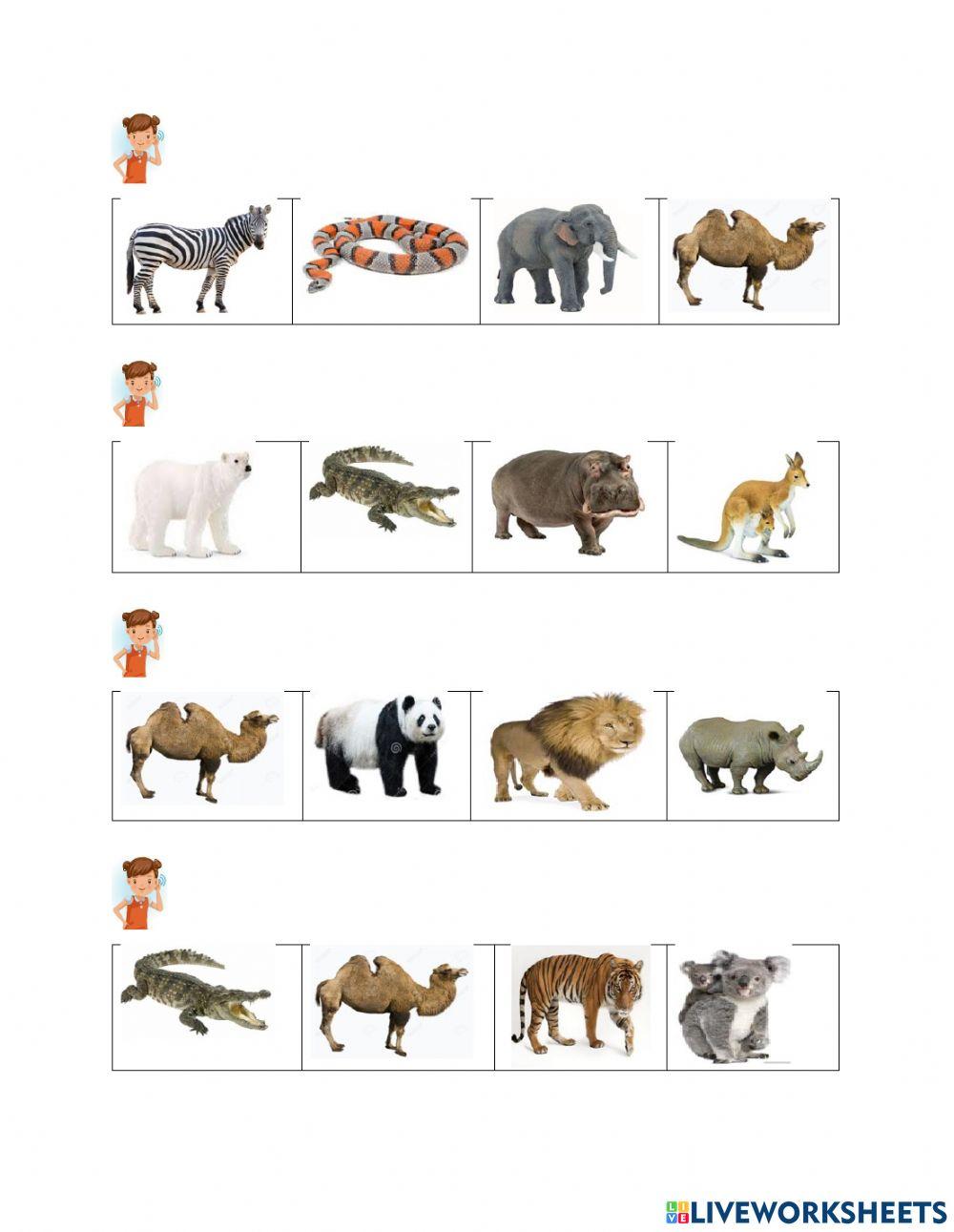 Evaluarea limbajului receptiv- Animale sălbatice care nu trăiesc la noi în țară