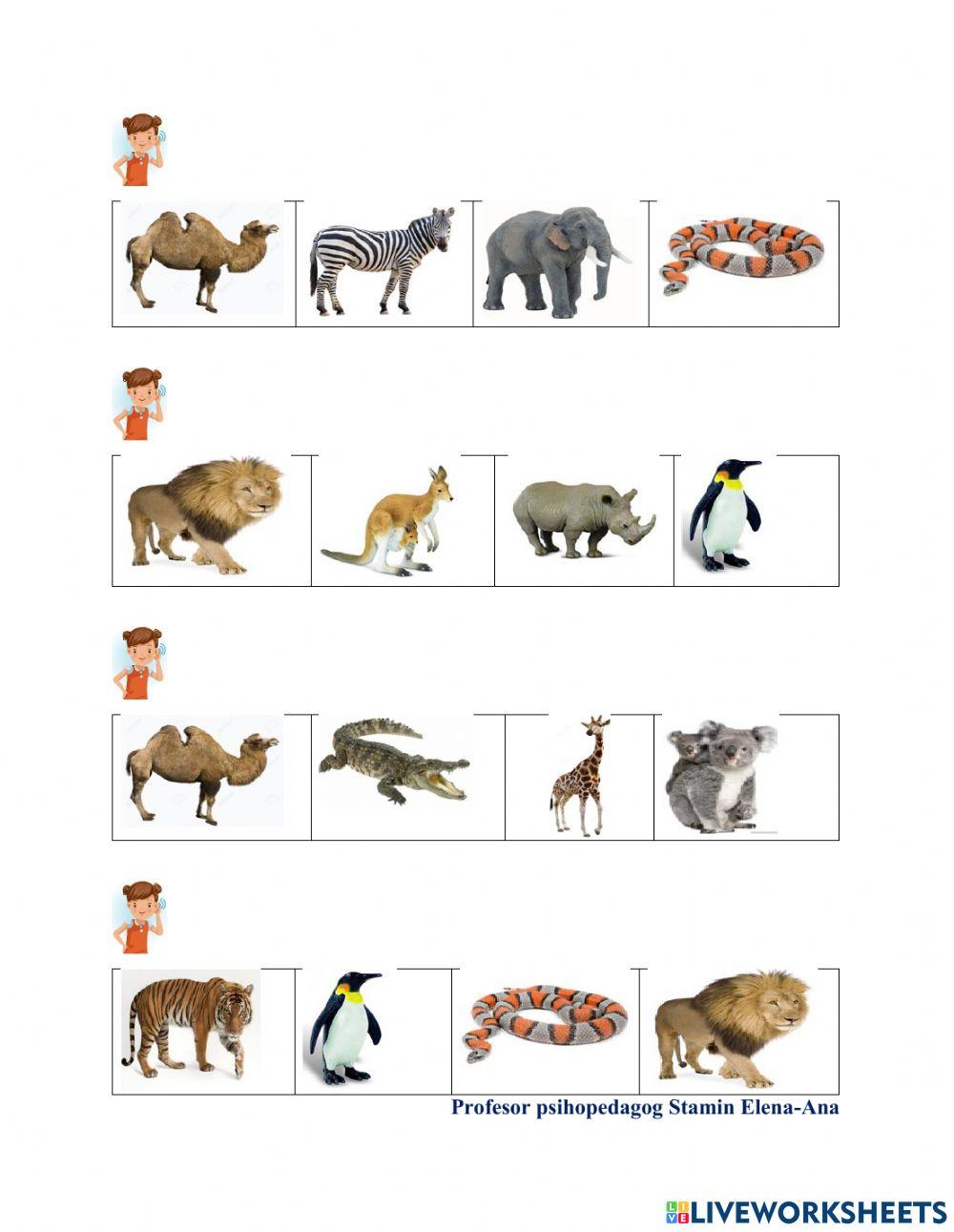 Evaluarea limbajului receptiv- Animale sălbatice care nu trăiesc la noi în țară