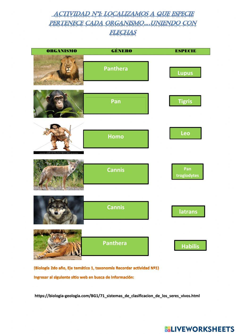 Clasificación de especies y género de los vertebrados