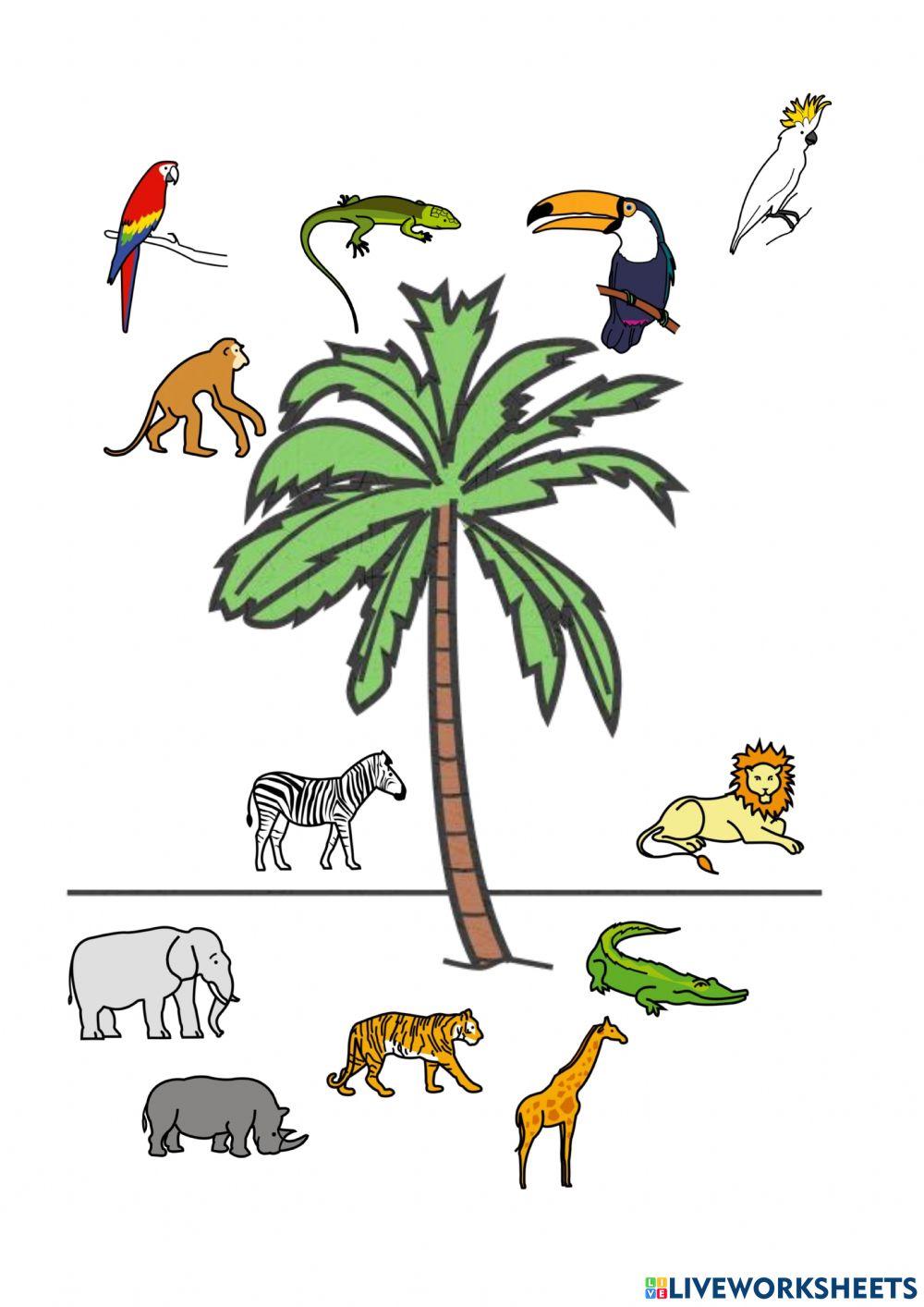 Espacialidad arriba y abajo