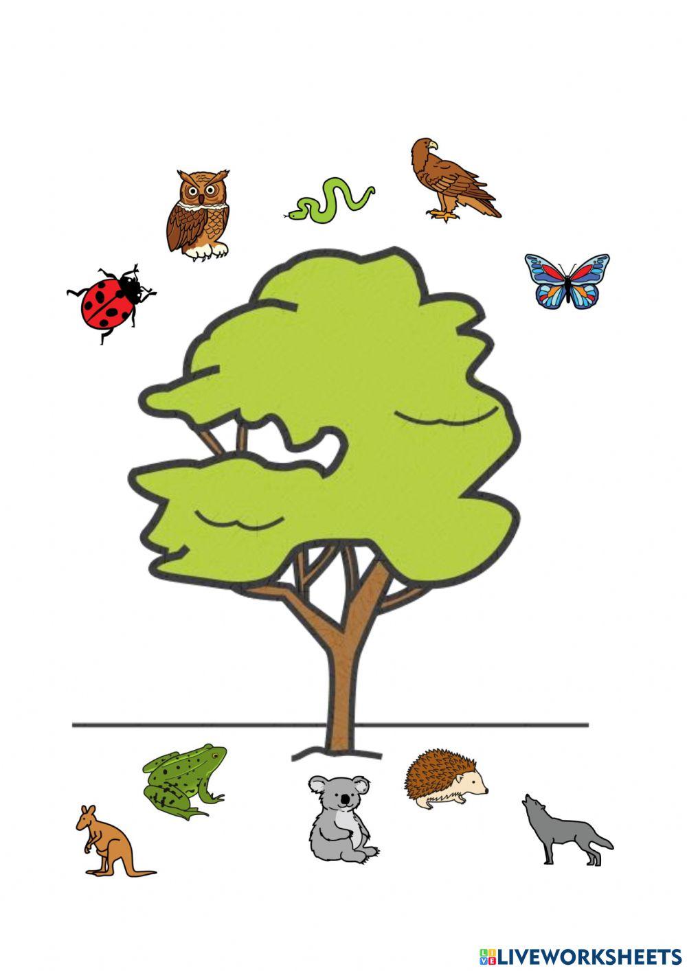 Espacialidad arriba y abajo