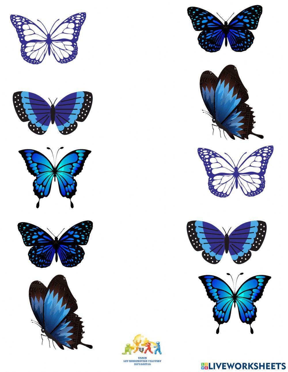 Une los que son iguales