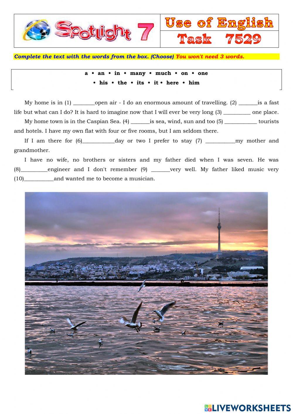 Spotlight 7 Task 7529