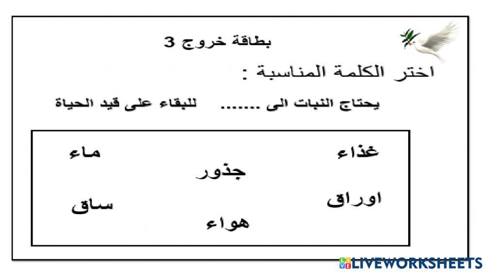 بطاقة خروج 1