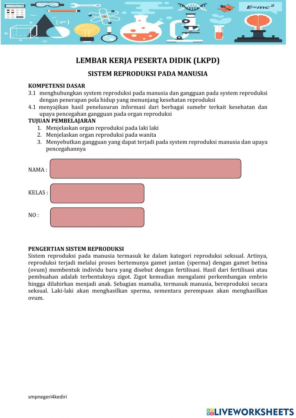Sistem reproduksi pada manusia