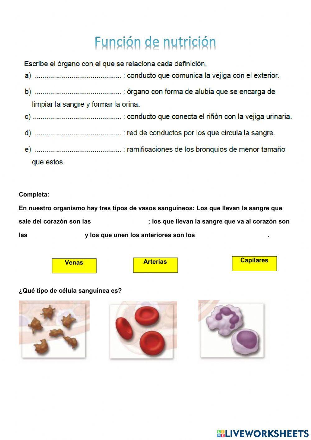 Función de nutrición