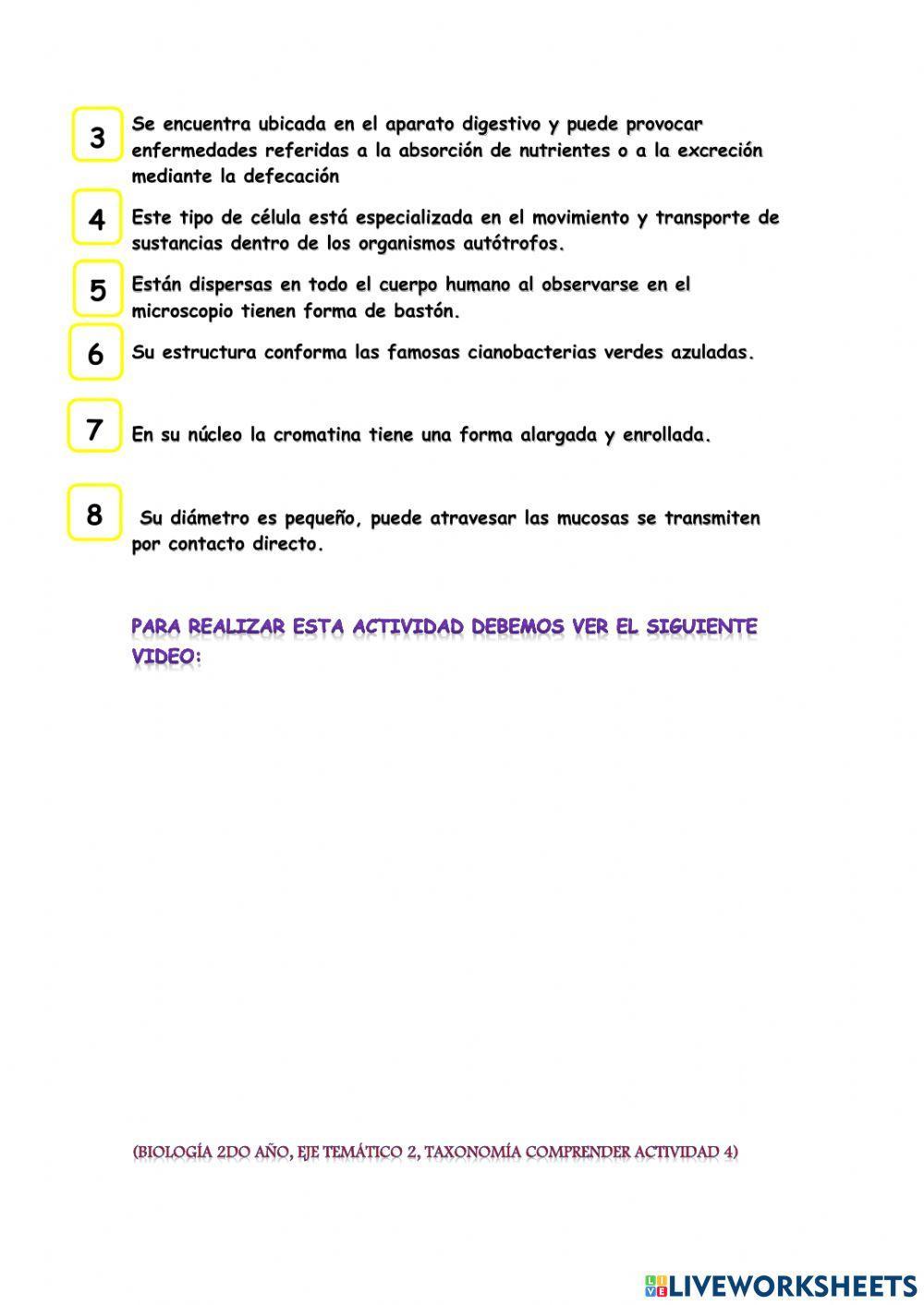 La célula procariota