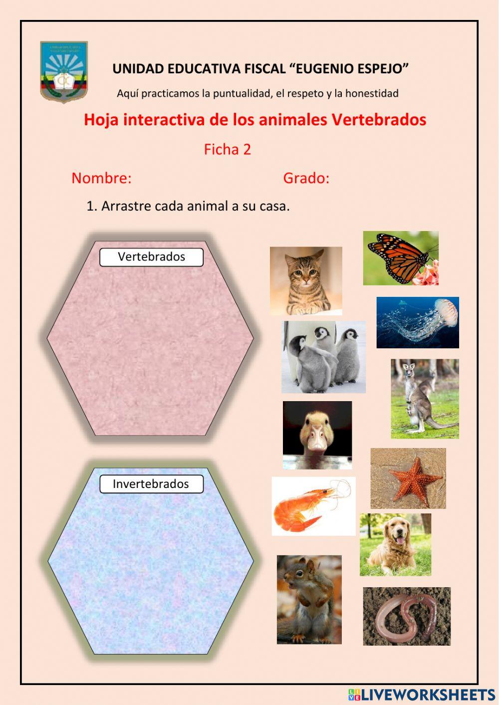 Animales vertebrados