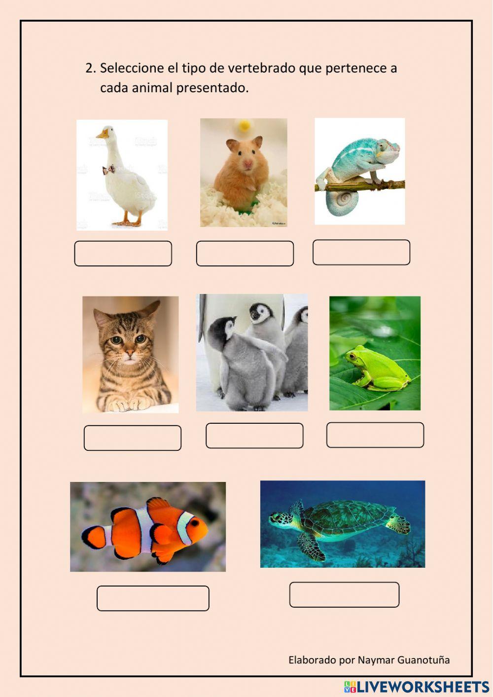 Animales vertebrados