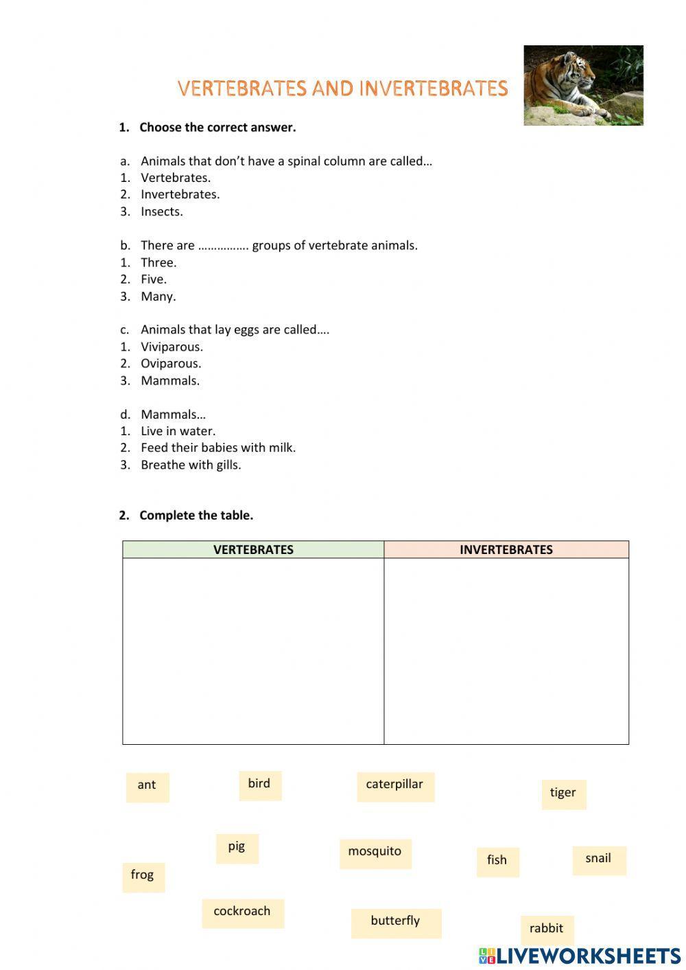 Vertebrates and Invertebrates free online worksheet Live Worksheets