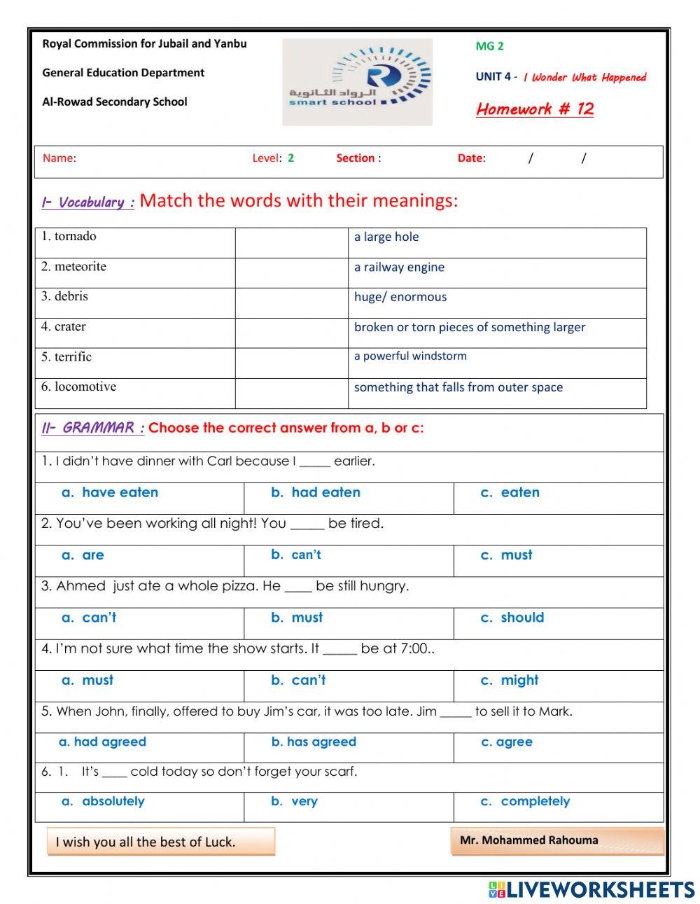 MG 2 - Unit 4- Vocabulary and Grammar Worksheet