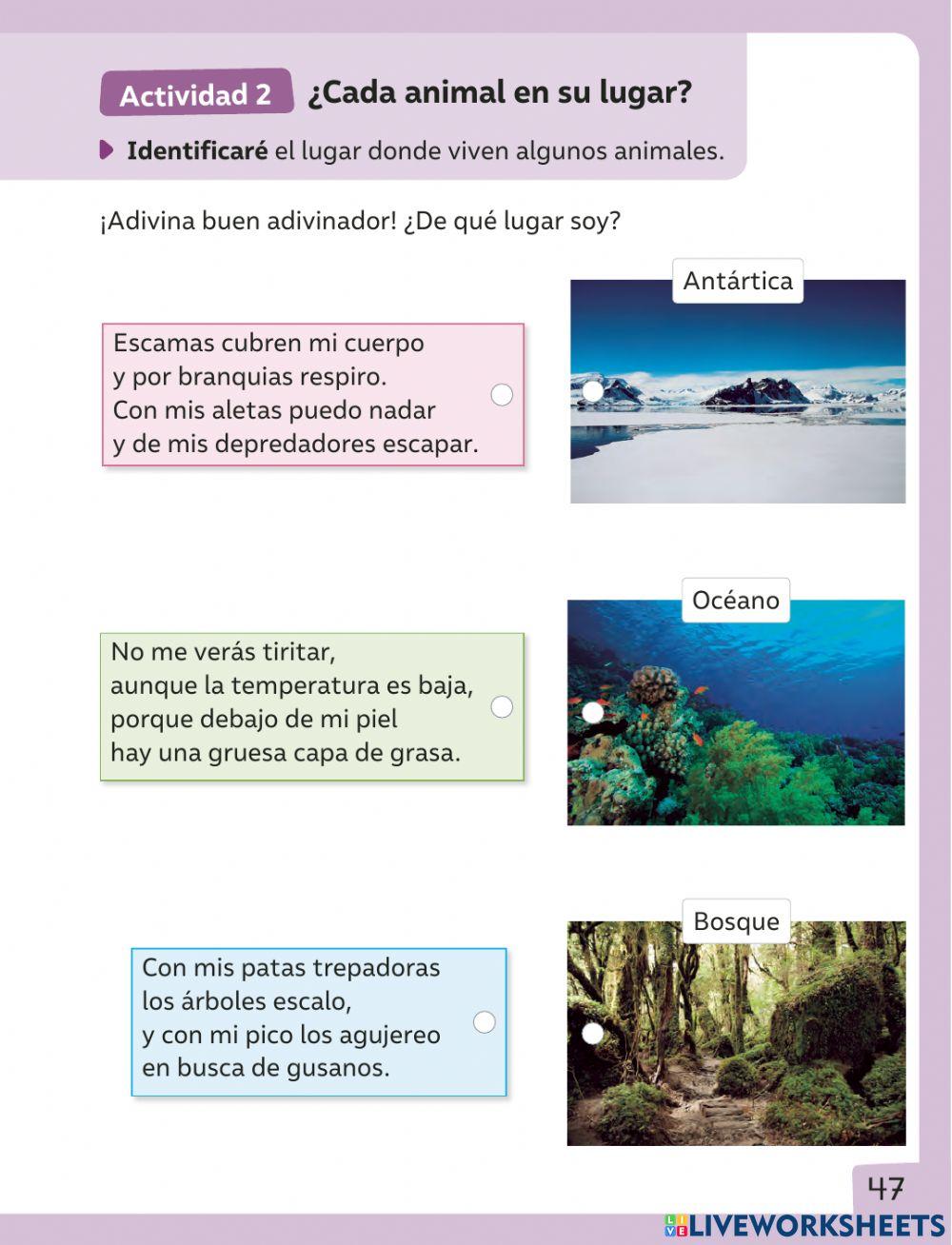 Cada animal en su lugar