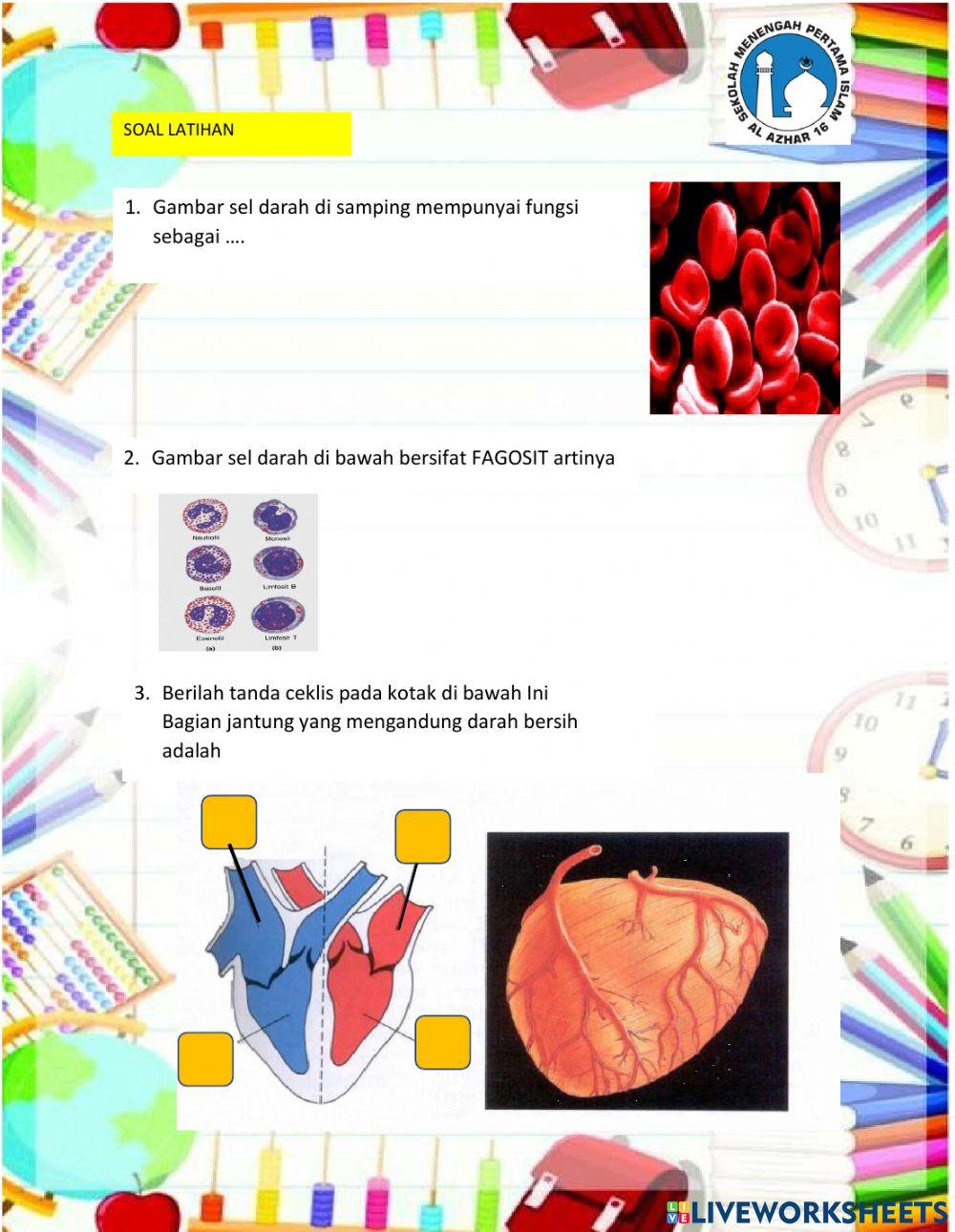 Sistem peredaran darah