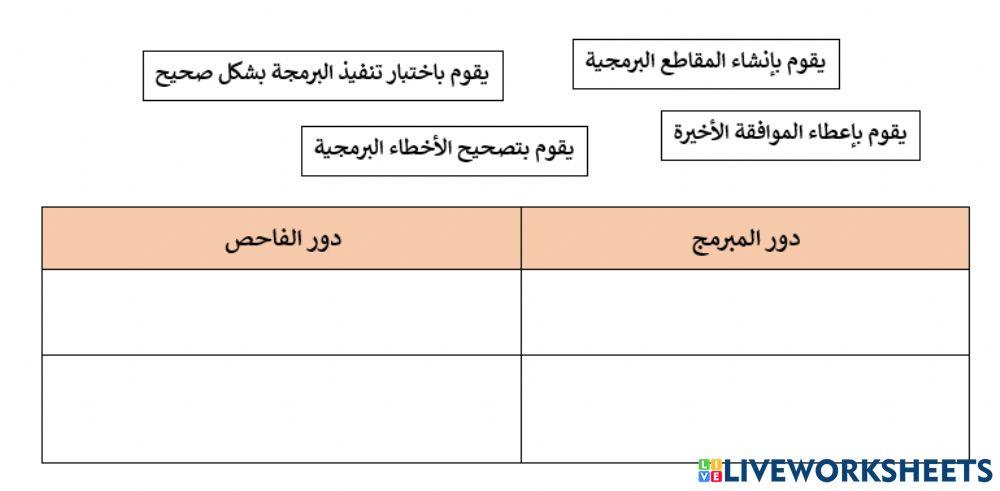 دور المبرمج والفاحص