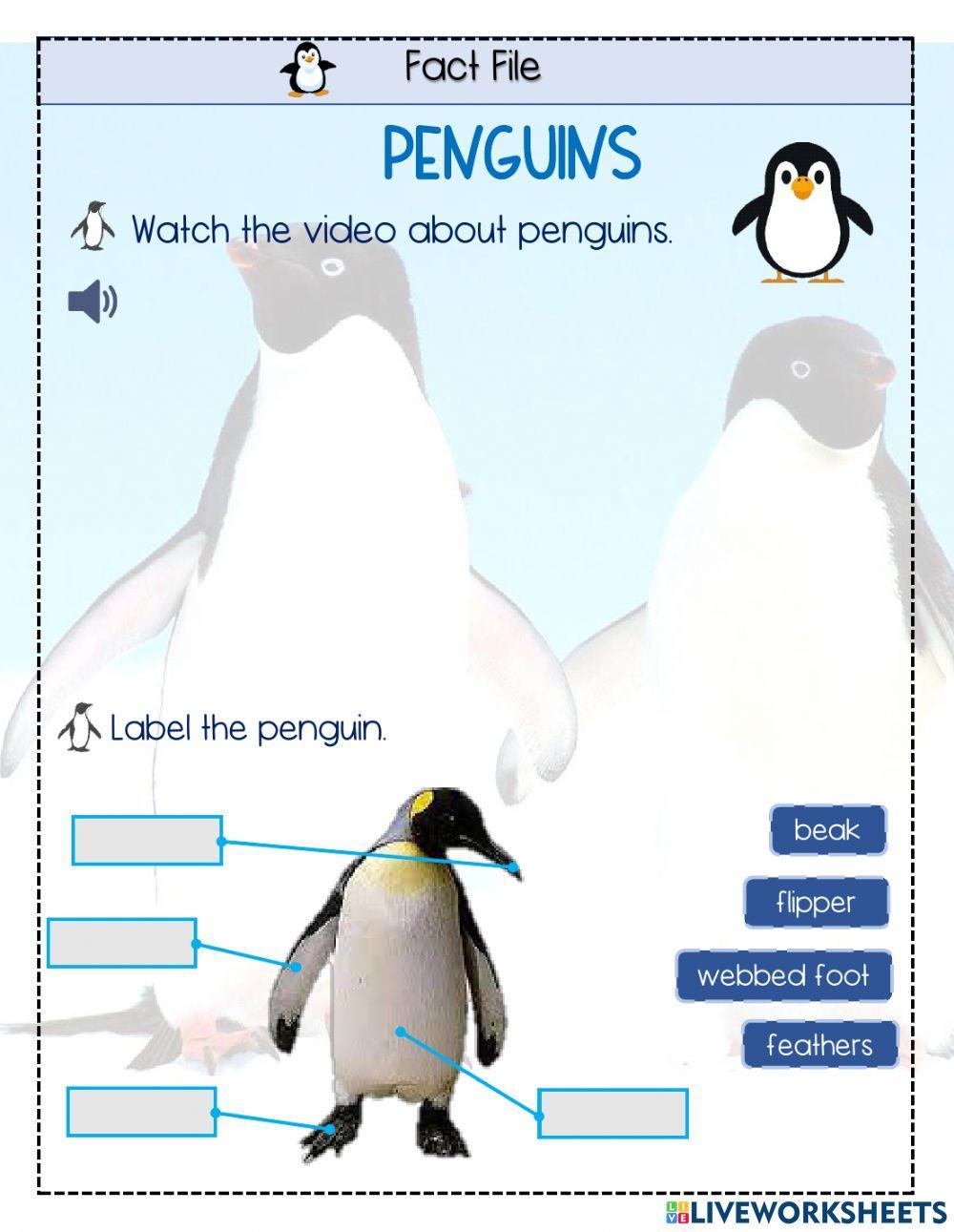 Penguins Fact File