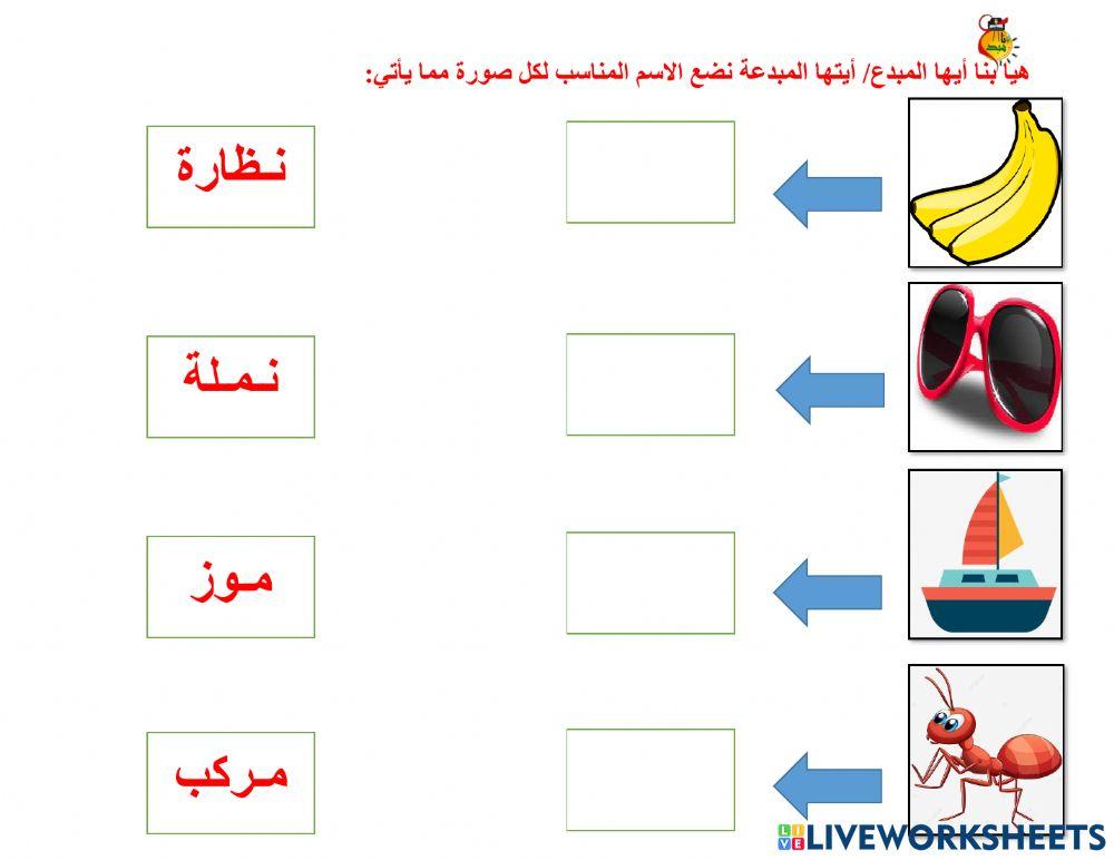أوراق متنوعة م -ن