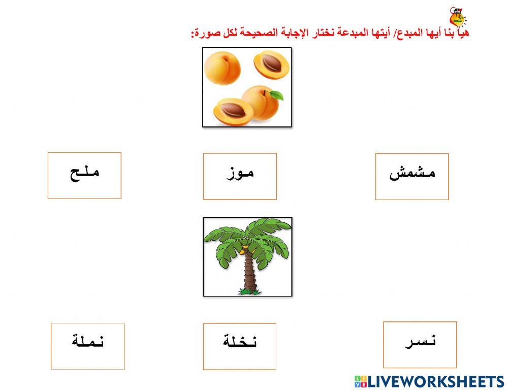 أوراق متنوعة م -ن