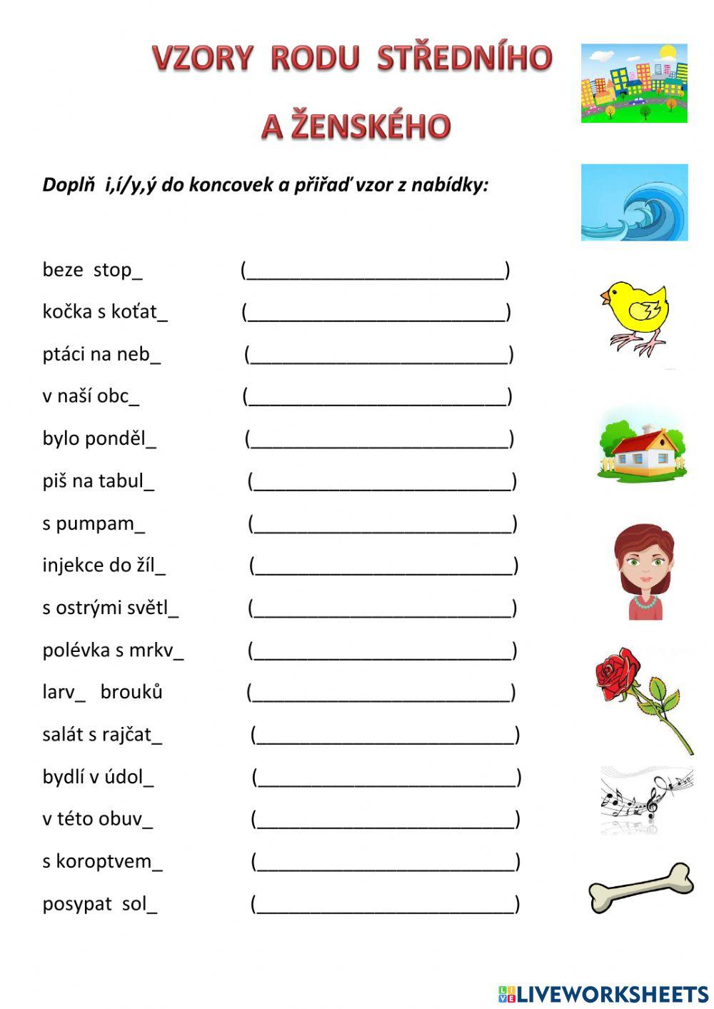 Vzory rodu středního a ženského
