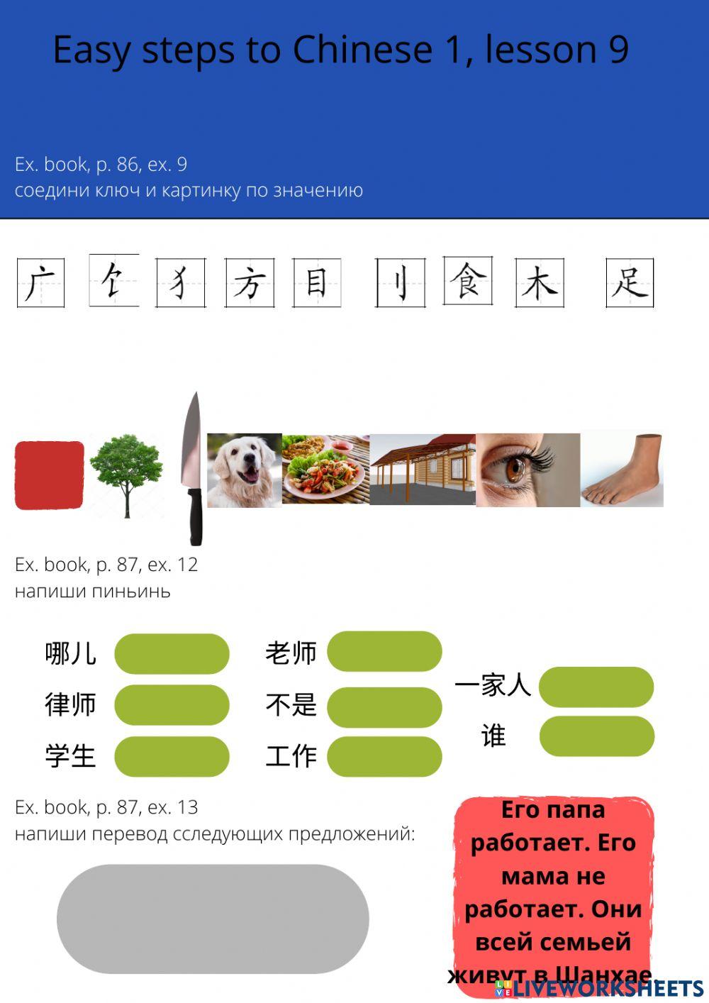 Easy steps to chinese 1 lesson 9