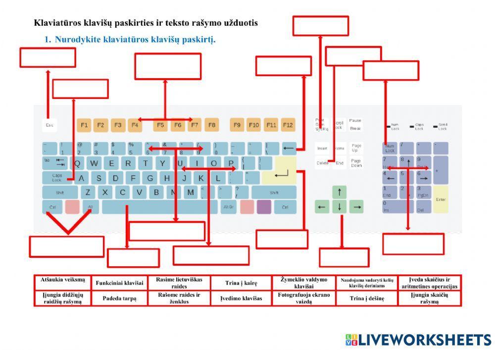 Klaviatūros klavišų paskirties ir teksto rašymo užduotis