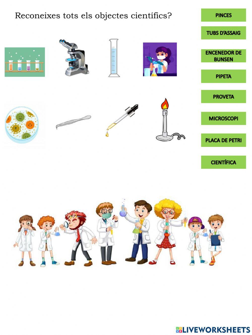 Objectes científics