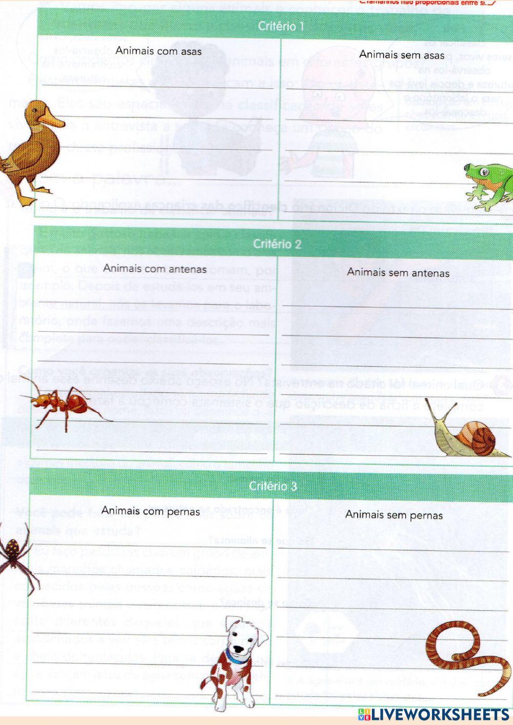 Classificando animais