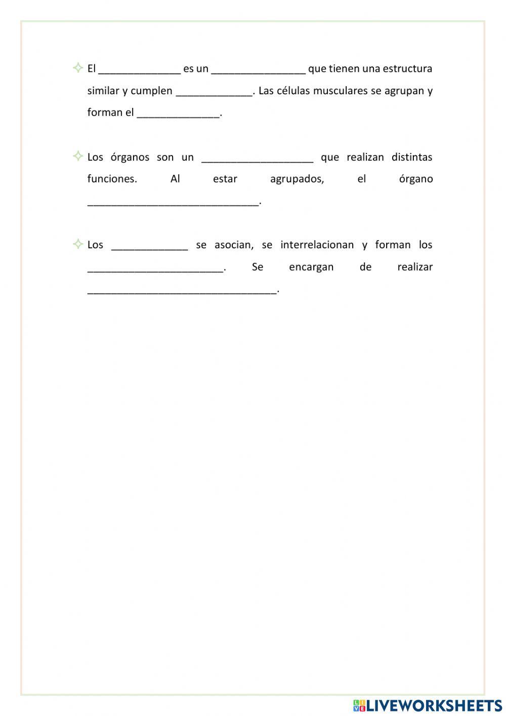 Niveles de organización del cuerpo humano