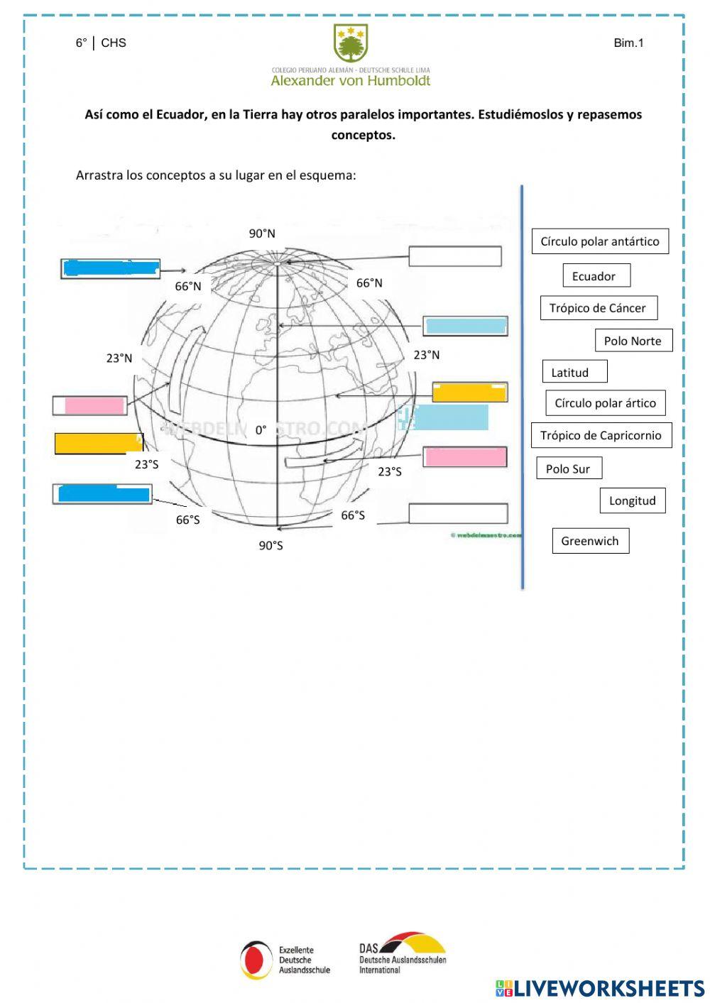 Paralelos y conceptos