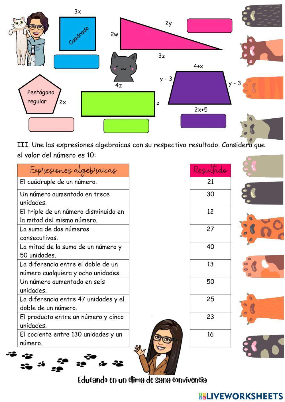8vo Lenguaje algebraico