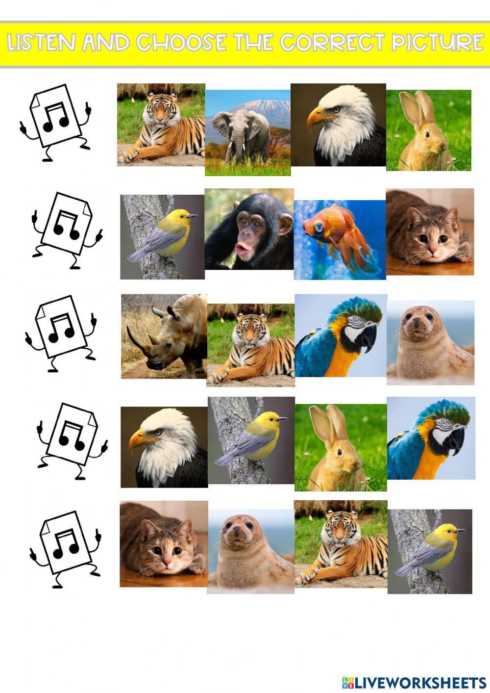 Animals Animals