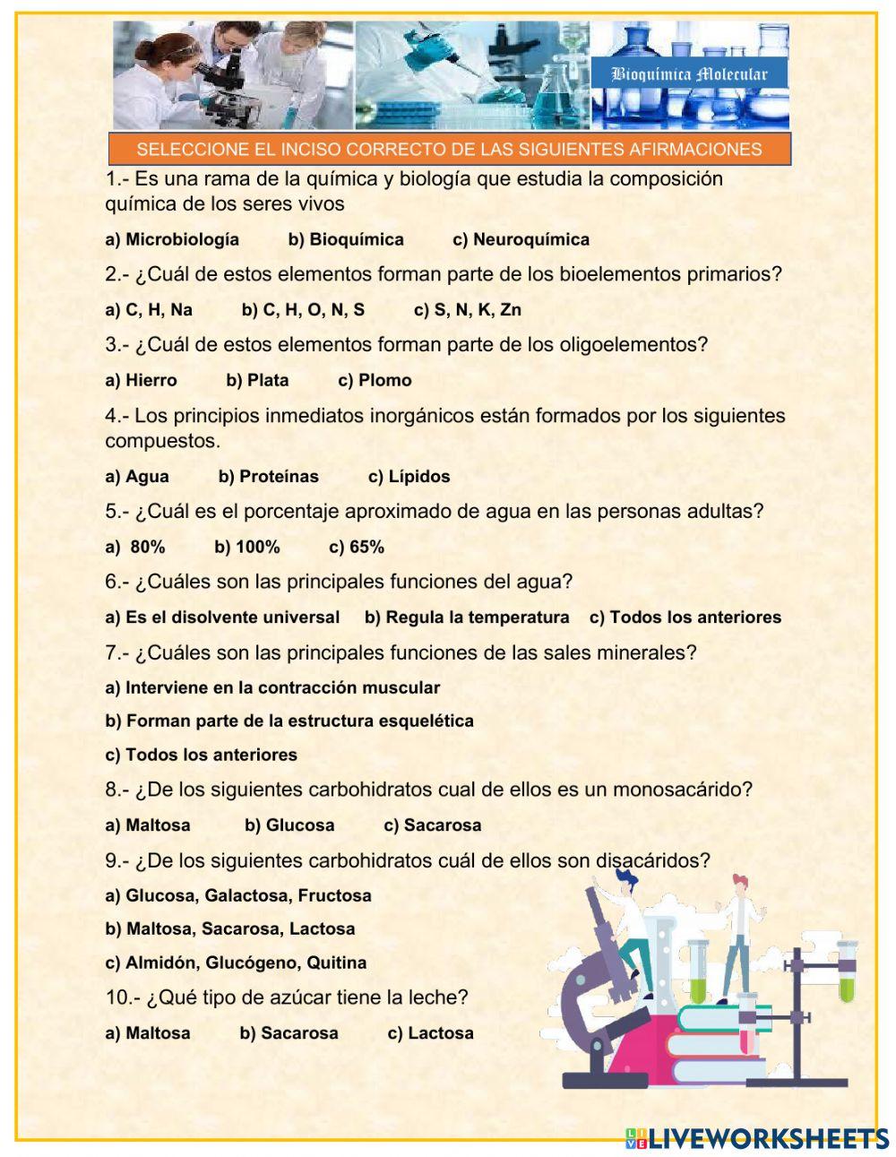 Bioquímica Molecular