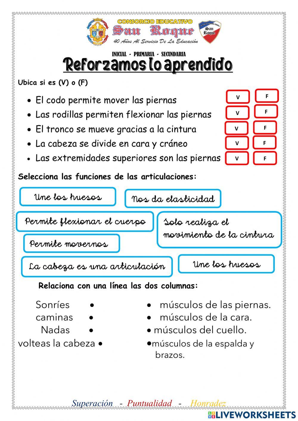 Las partes del cuerpo