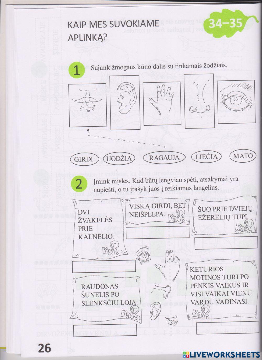 Kaip suvokiame aplinką