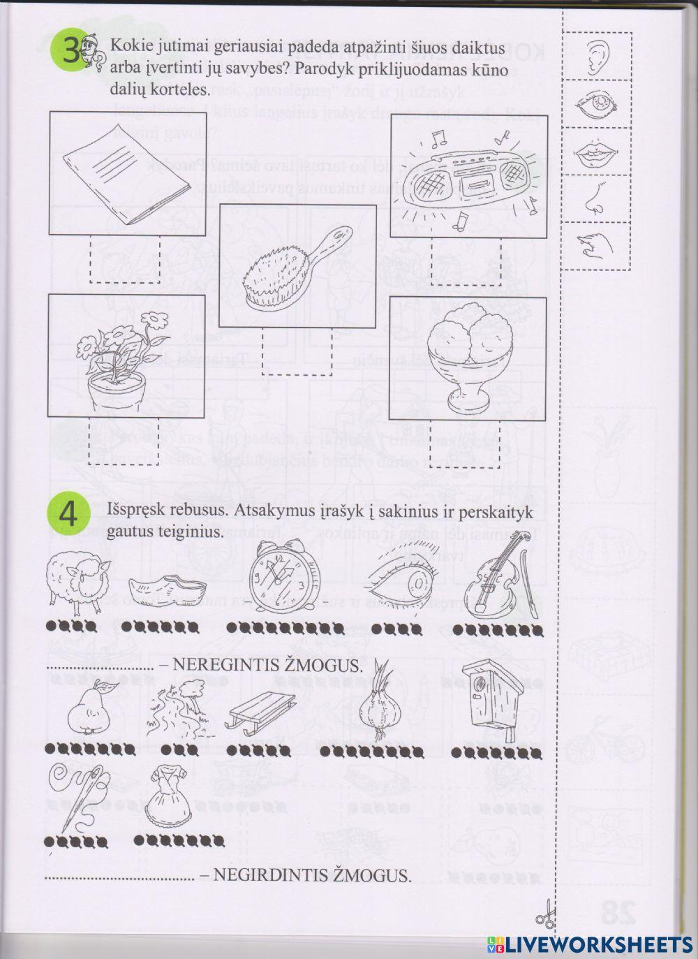 Kaip suvokiame aplinką 2