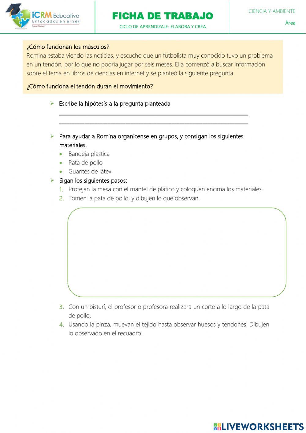 Observo y comparo datos