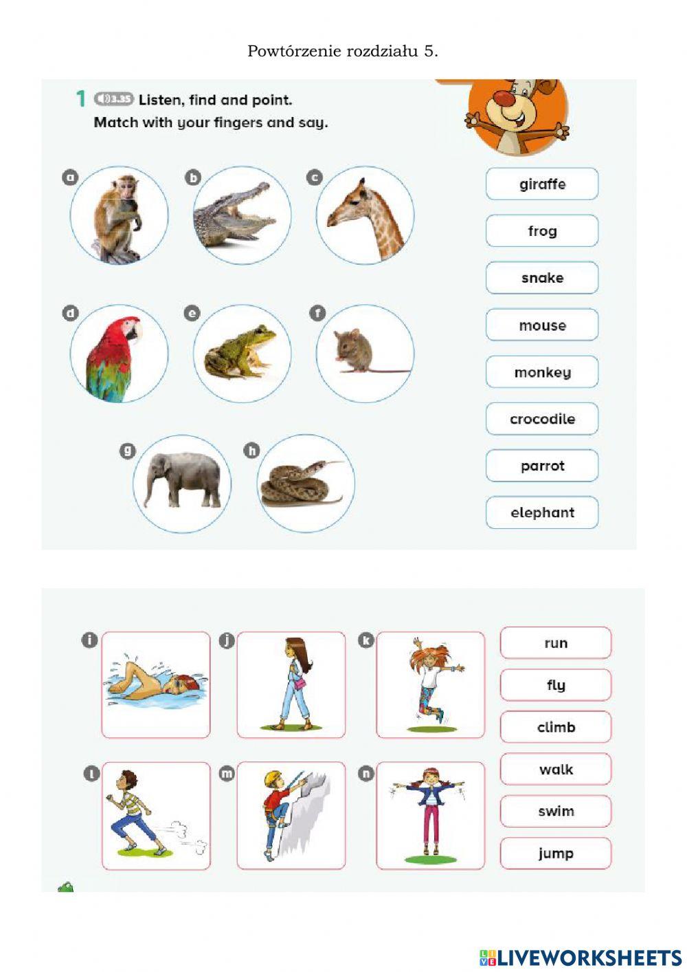 Tiger abd friends 1 Powtórzenie roz. 5