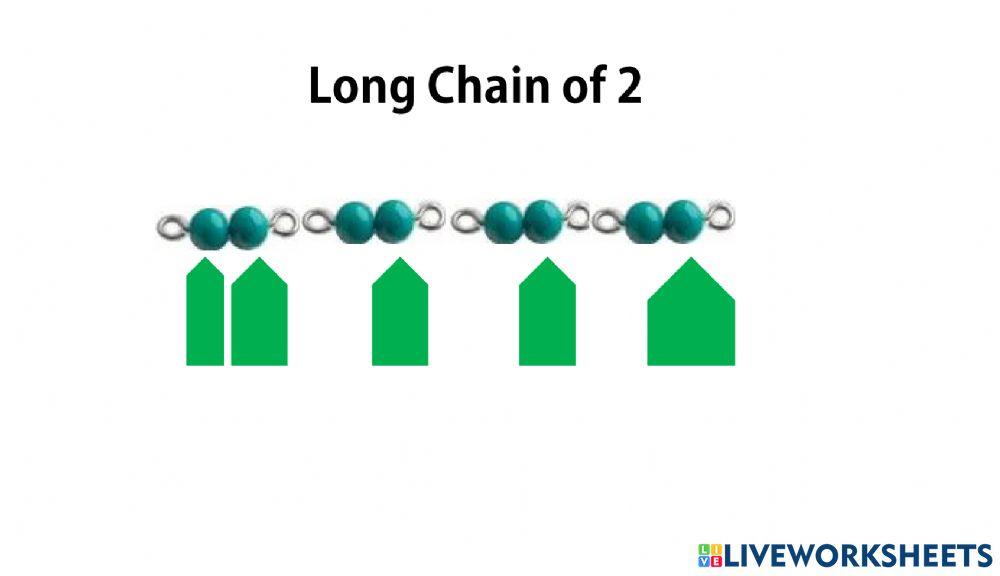 Long Chain 1-5