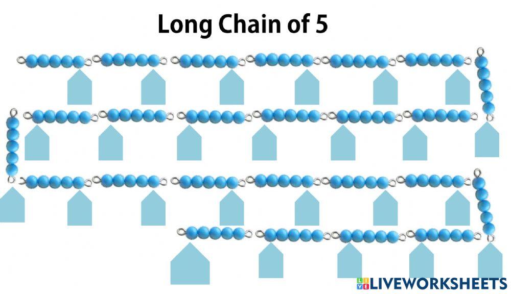 Long Chain 1-5