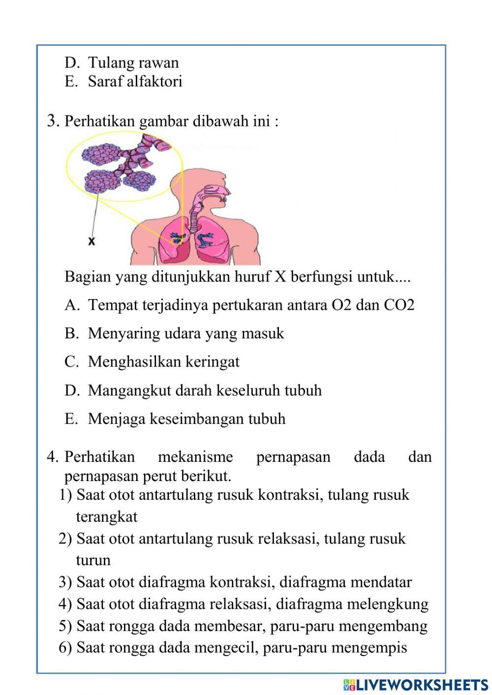 Posttest pertemuan 1